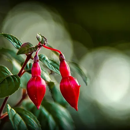 Gospodarstwo agroturystyczne Suhka Tourism Farm