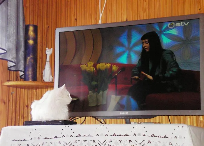 Suhka Tourism Farm Majutus talus *