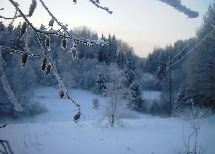 Suhka Tourism Farm Majutus talus Haanja