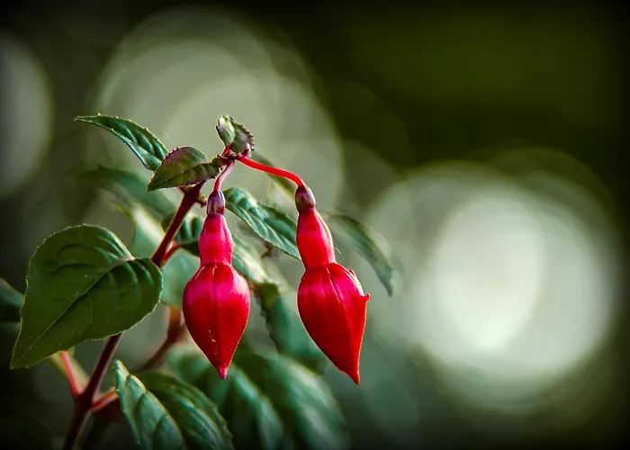 Majutus talus Suhka Tourism Farm